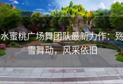 水蜜桃广场舞团队最新力作：殇雪舞动，风采依旧