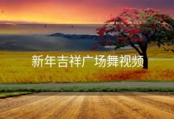 新年吉祥广场舞视频