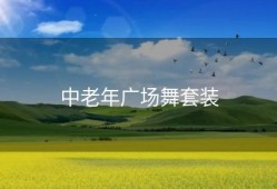 中老年广场舞套装