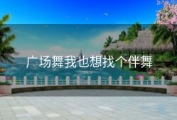 广场舞我也想找个伴舞