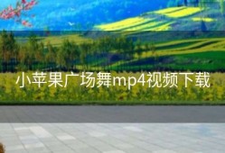 小苹果广场舞mp4视频下载