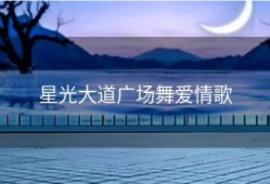 星光大道广场舞爱情歌