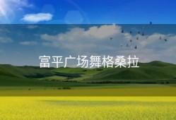 富平广场舞格桑拉