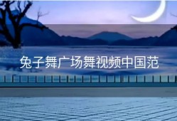 兔子舞广场舞视频中国范