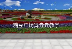 糖豆广场舞垚垚教学