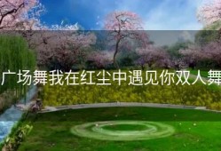 广场舞我在红尘中遇见你双人舞