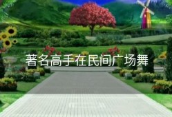 著名高手在民间广场舞