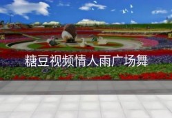 糖豆视频情人雨广场舞