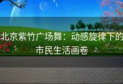 北京紫竹广场舞：动感旋律下的市民生活画卷