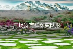 广场舞吉祥颂变队形