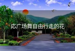 応广场舞自由行走的花