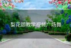梨花颂教学视频广场舞