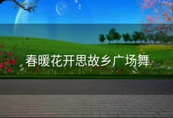 春暖花开思故乡广场舞