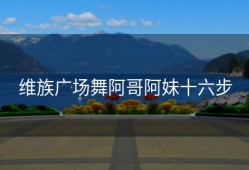 维族广场舞阿哥阿妹十六步