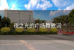 夜之光的广场舞歌词