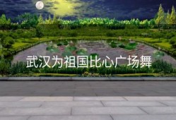 武汉为祖国比心广场舞