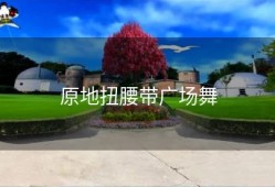 原地扭腰带广场舞