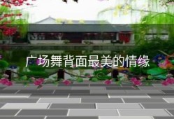 广场舞背面最美的情缘