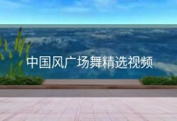 中国风广场舞精选视频