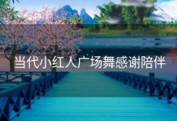 当代小红人广场舞感谢陪伴