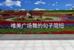 唯美广场舞的句子简短