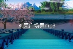 刘荣广场舞mp3