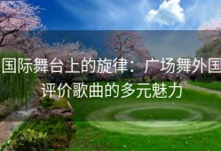 国际舞台上的旋律：广场舞外国评价歌曲的多元魅力