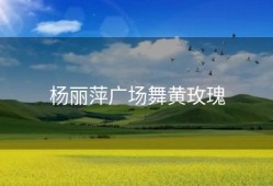 杨丽萍广场舞黄玫瑰