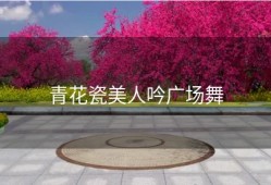 青花瓷美人吟广场舞