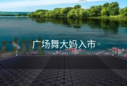 广场舞大妈入市