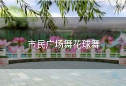 市民广场舞花球舞
