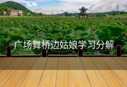 广场舞桥边姑娘学习分解