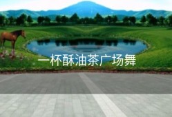 一杯酥油茶广场舞