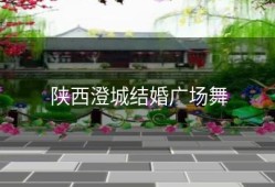 陕西澄城结婚广场舞