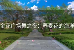 金花广场舞之夜：荞麦花的海洋