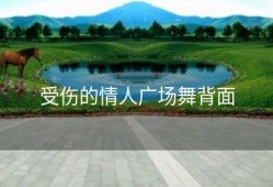 受伤的情人广场舞背面