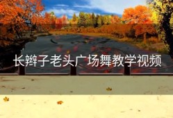 长辫子老头广场舞教学视频