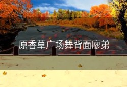原香草广场舞背面廖弟