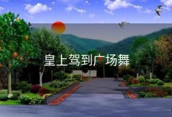 皇上驾到广场舞