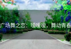 广场舞之恋：嗳嗳嗳，舞动青春