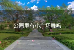 公园里有小广场舞吗