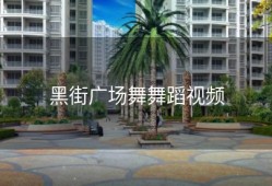 黑街广场舞舞蹈视频