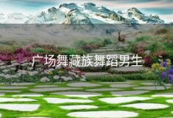 广场舞藏族舞蹈男生