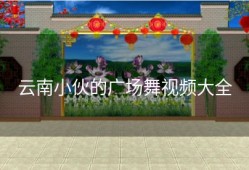 云南小伙的广场舞视频大全