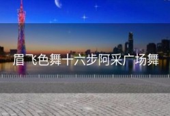 眉飞色舞十六步阿采广场舞