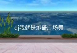 dj我就是炮哥广场舞