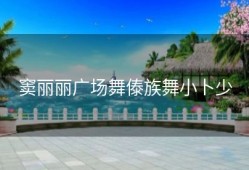 窦丽丽广场舞傣族舞小卜少