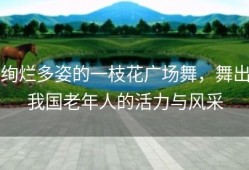 绚烂多姿的一枝花广场舞，舞出我国老年人的活力与风采