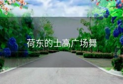 荷东的士高广场舞