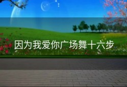 因为我爱你广场舞十六步